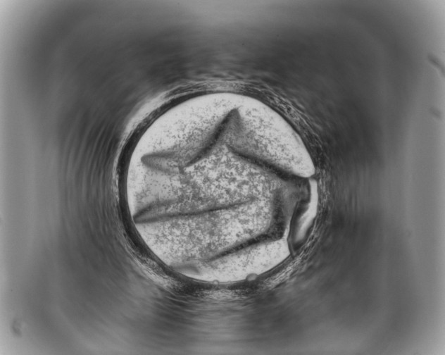 X0000097860246200804111200