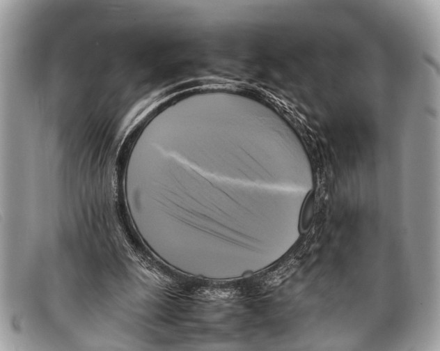 X0000097860247200804111200