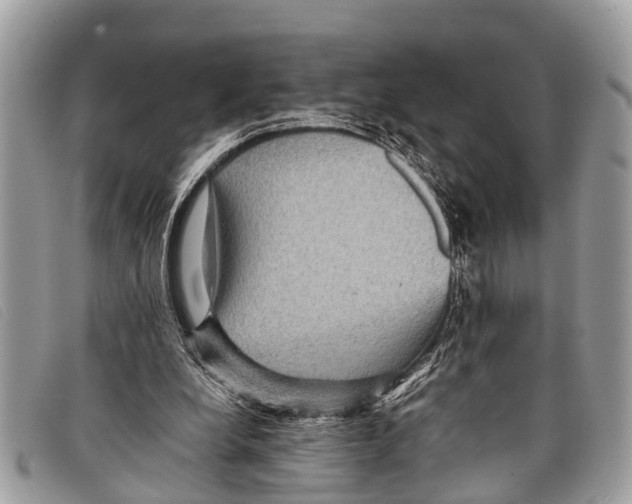 X0000097860248200804111200