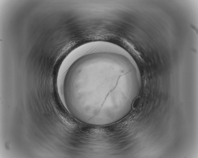 X0000097860250200804111200