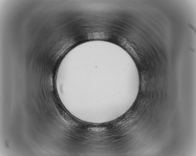 X0000097860251200804111200