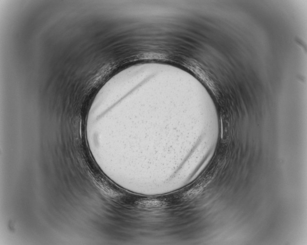 X0000097860253200804111200