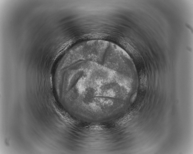 X0000097860254200804111200