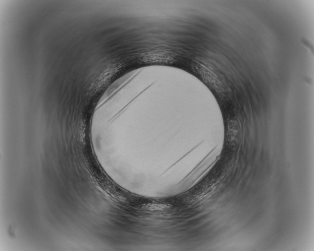 X0000097860255200804111200