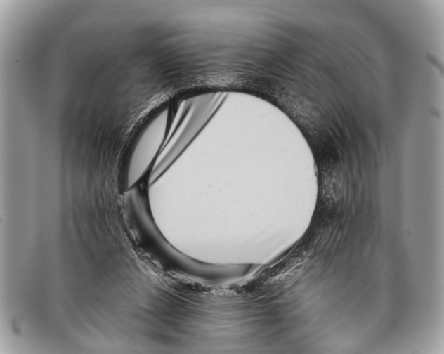 X0000097860256200804111200