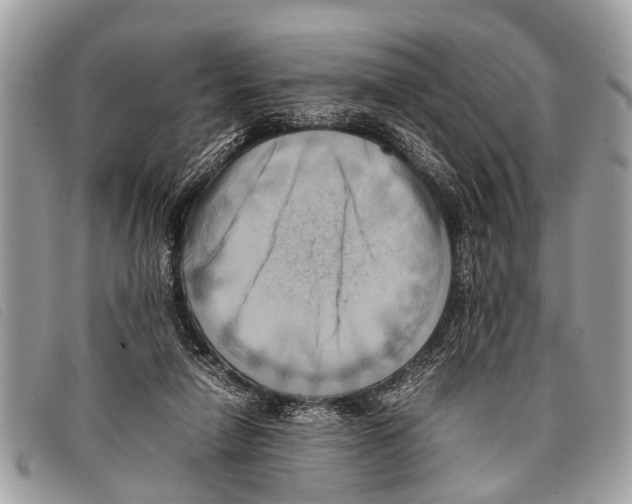 X0000097860258200804111201