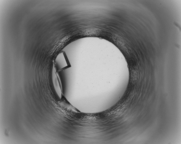 X0000097860260200804111201