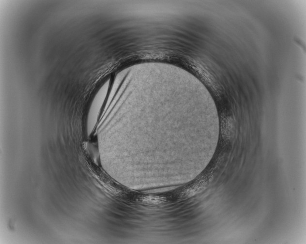 X0000097860261200804111201