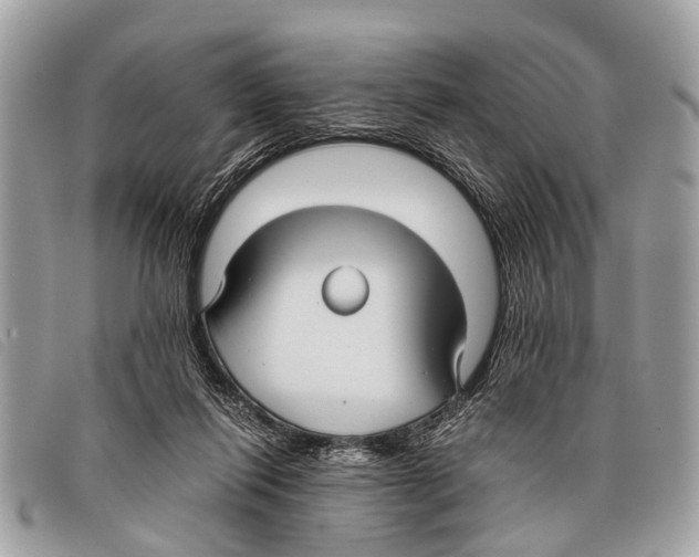 X0000097860262200804111201