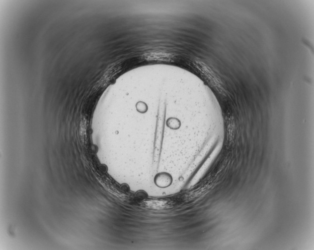 X0000097860265200804111201