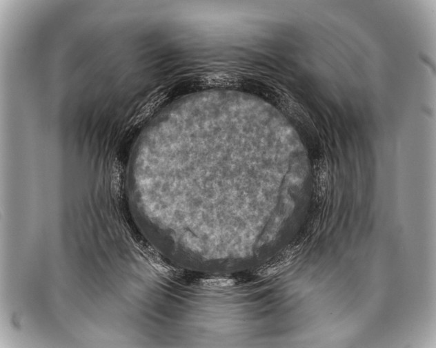 X0000097860266200804111201