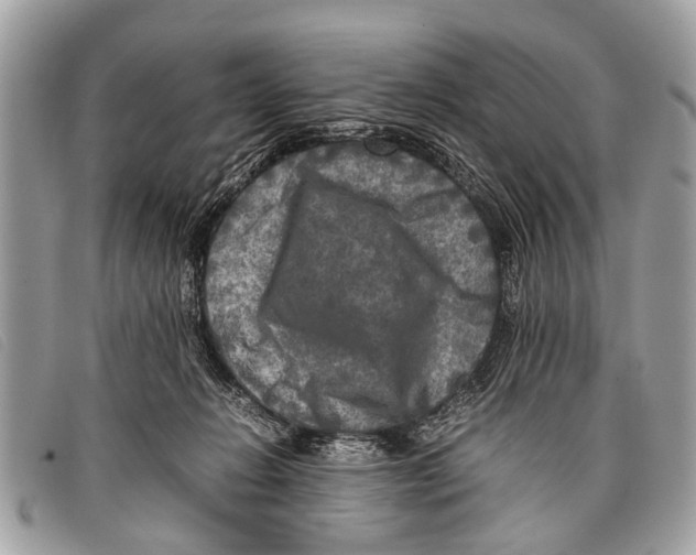 X0000097860270200804111201