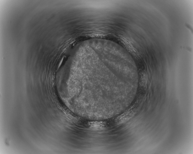 X0000097860273200804111201