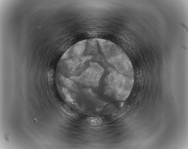 X0000097860275200804111201