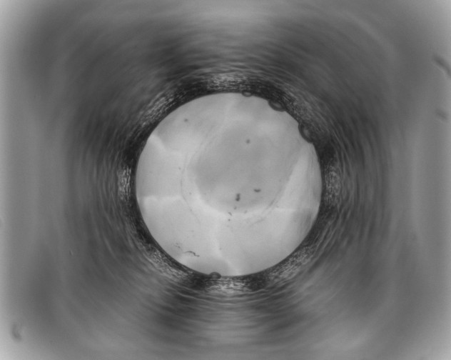 X0000097860278200804111201