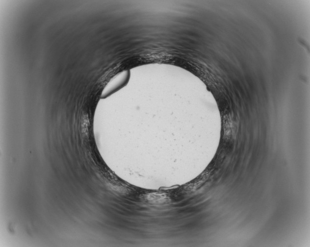 X0000097860279200804111201