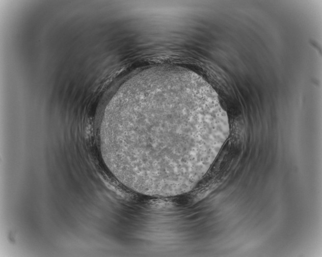 X0000097860284200804111201