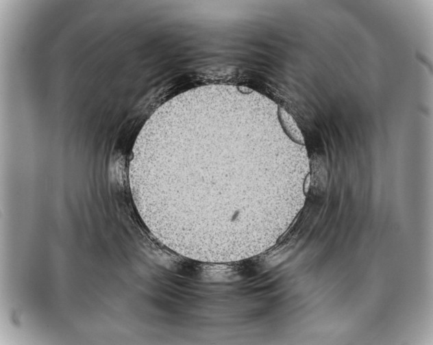 X0000097860287200804111201