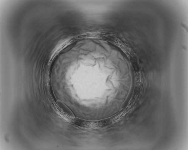 X0000097860293200804111200