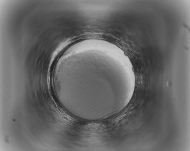 X0000097860294200804111200