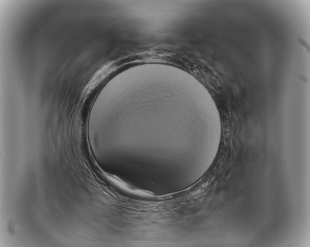 X0000097860295200804111200