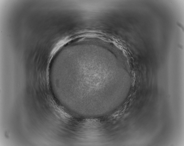 X0000097860296200804111200