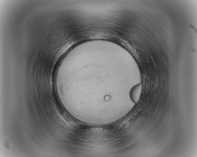 X0000097860298200804111200