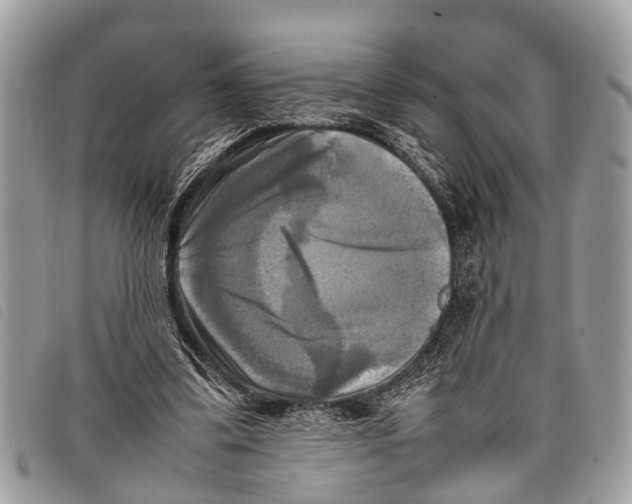 X0000097860299200804111200