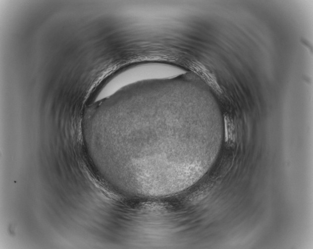 X0000097860300200804111200