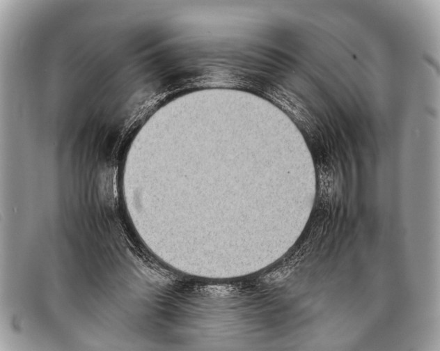 X0000097860302200804111200