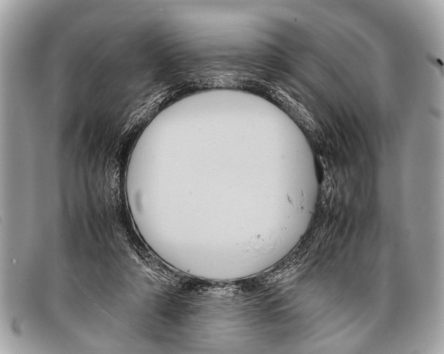 X0000097860306200804111200