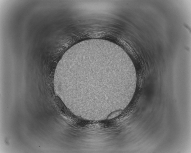 X0000097860307200804111200