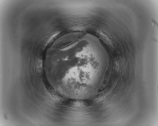 X0000097860308200804111200