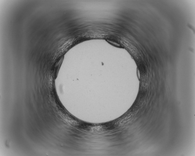 X0000097860309200804111200