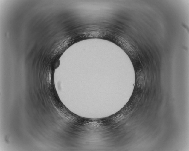 X0000097860310200804111200