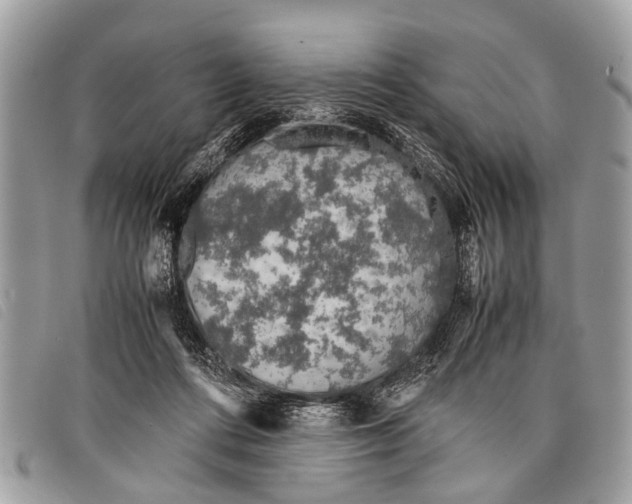 X0000097860312200804111200