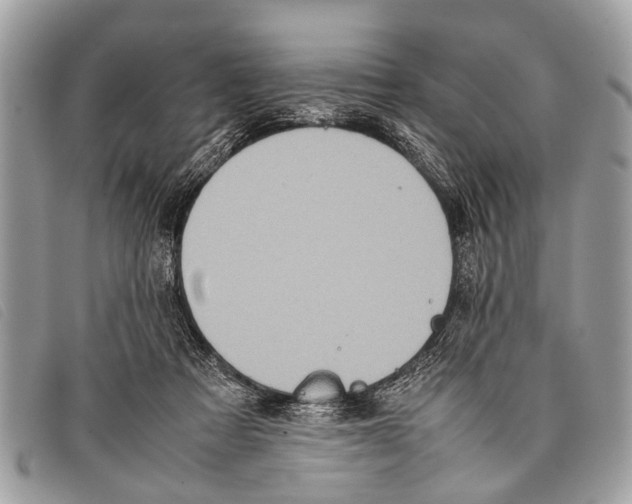 X0000097860313200804111200