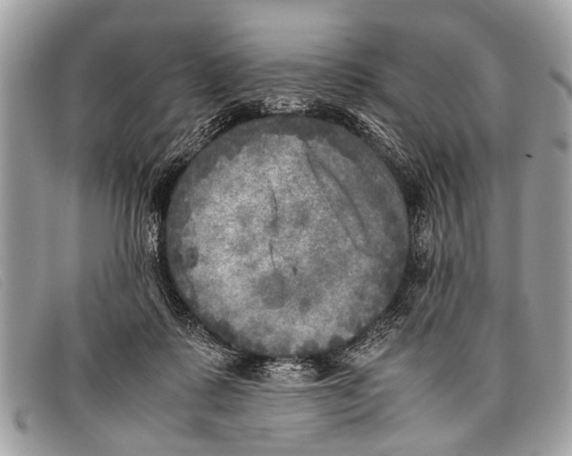 X0000097860315200804111200