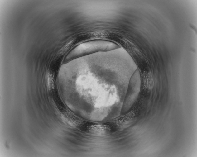 X0000097860316200804111200