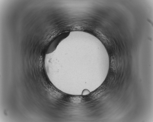 X0000097860318200804111200