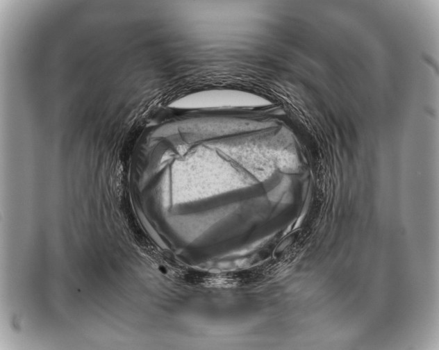 X0000097860319200804111200