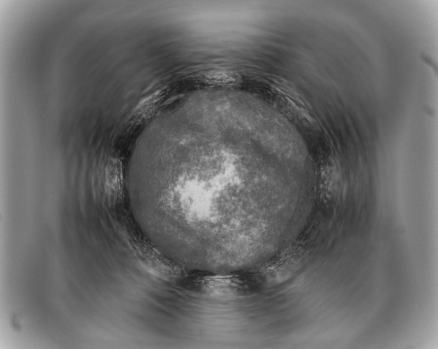 X0000097860320200804111200