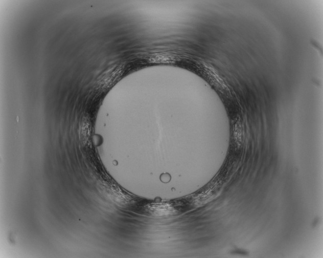 X0000097860322200804111200