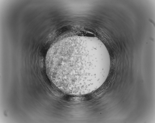 X0000097860323200804111200