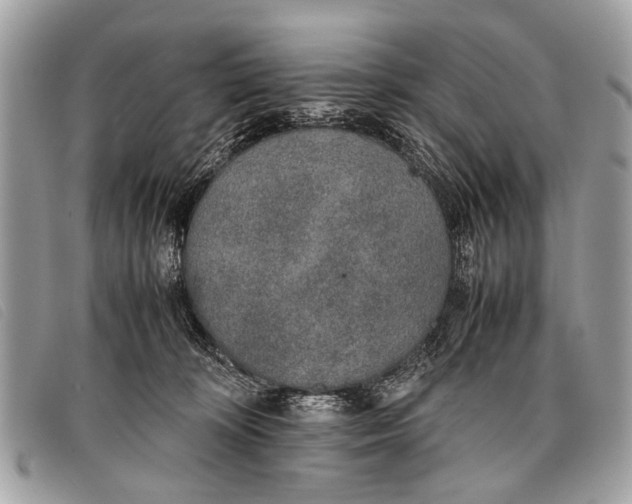 X0000097860324200804111200