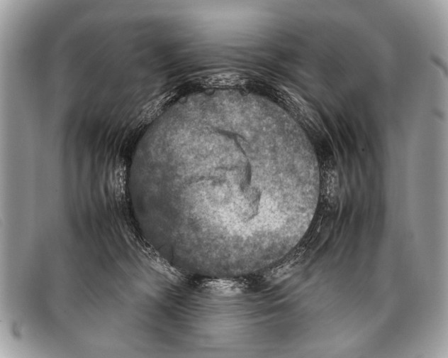 X0000097860326200804111200