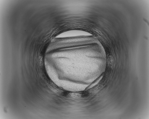 X0000097860327200804111200