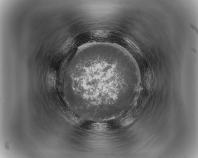 X0000097860328200804111159