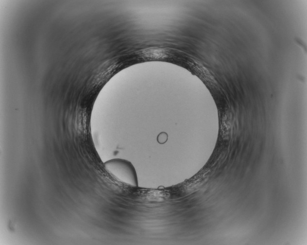 X0000097860330200804111159