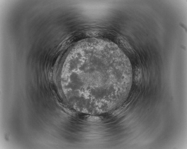 X0000097860332200804111159